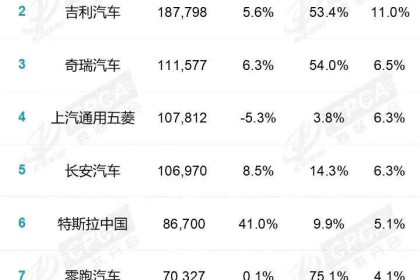 ​奇瑞跃居前三：新能源赛道“不客气”的底气